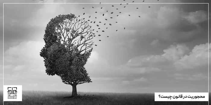 محجوریت در قانون چیست؟