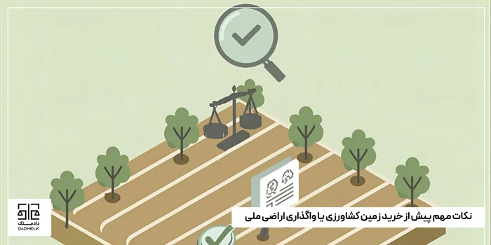 نکات مهم پیش از خرید زمین کشاورزی یا واگذاری اراضی ملی